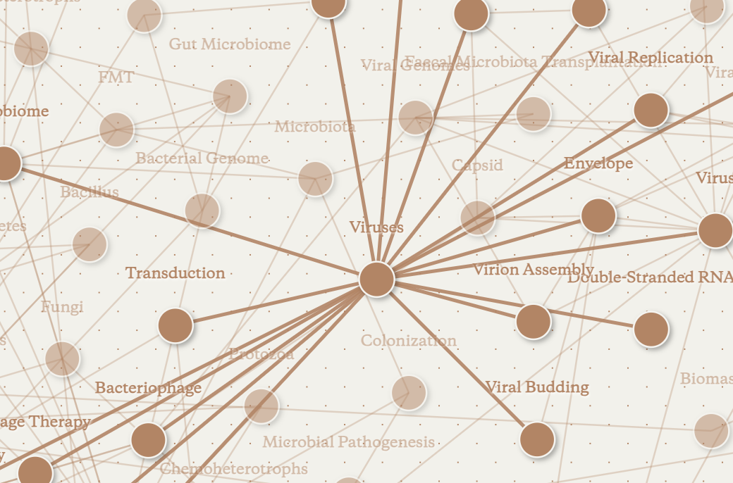 BrainMap concept network