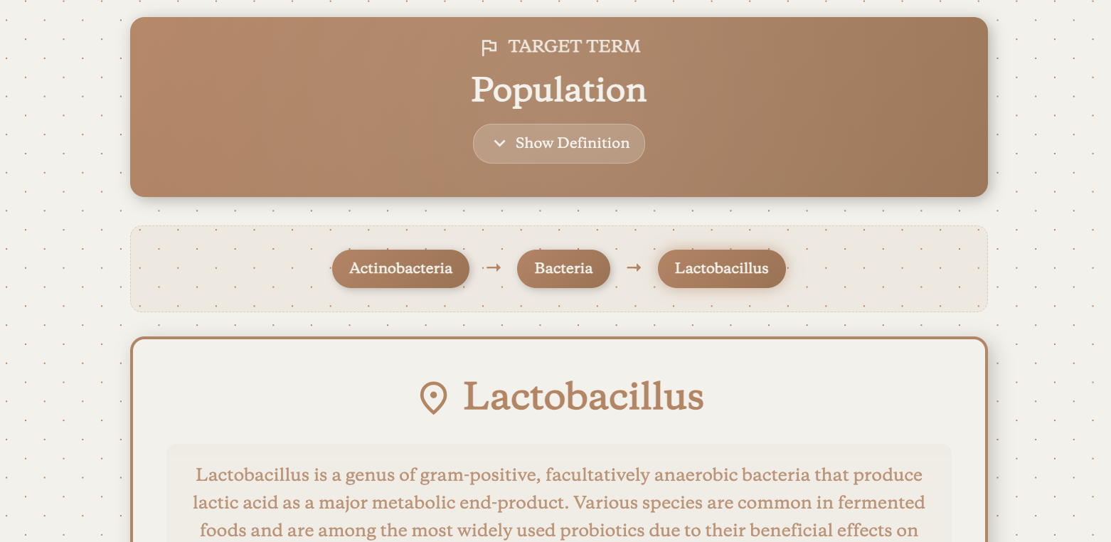 Connections Game interface